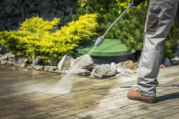 Best Boat and Dock Cleaning  in Pleasant Valley, MO
