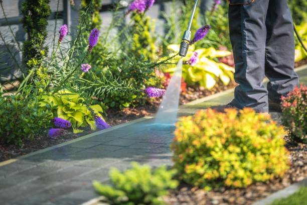 Best Post-Construction Pressure Washing  in Pleasant Valley, MO